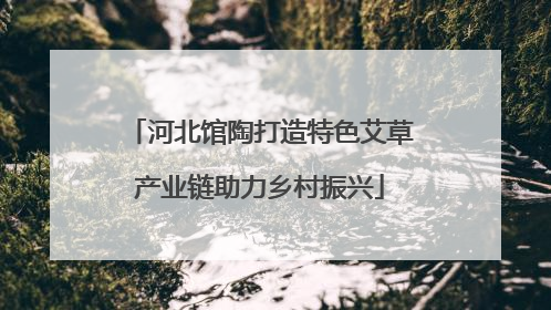 河北馆陶打造特色艾草产业链助力乡村振兴