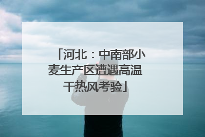 河北：中南部小麦生产区遭遇高温干热风考验