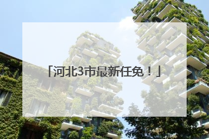 河北3市最新任免！
