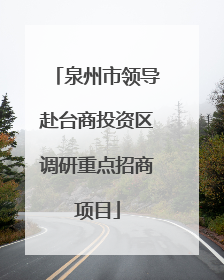 泉州市领导赴台商投资区调研重点招商项目