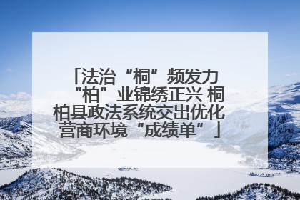 法治“桐”频发力 “柏”业锦绣正兴 桐柏县政法系统交出优化营商环境“成绩单”