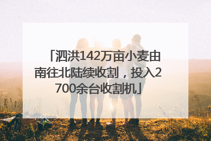 泗洪142万亩小麦由南往北陆续收割，投入2700余台收割机