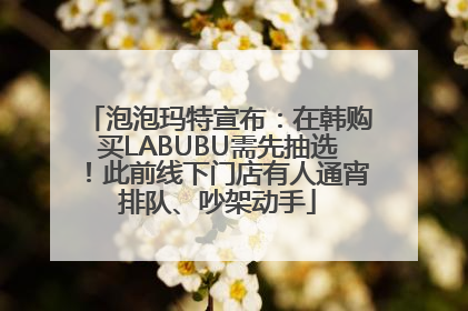 泡泡玛特宣布：在韩购买LABUBU需先抽选！此前线下门店有人通宵排队、吵架动手