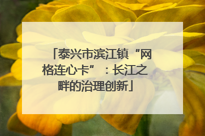 泰兴市滨江镇“网格连心卡”：长江之畔的治理创新