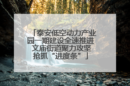 泰安低空动力产业园一期建设全速推进 文庙街道聚力攻坚抢抓“进度条”