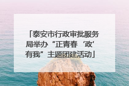 泰安市行政审批服务局举办“正青春‘政’有我”主题团建活动