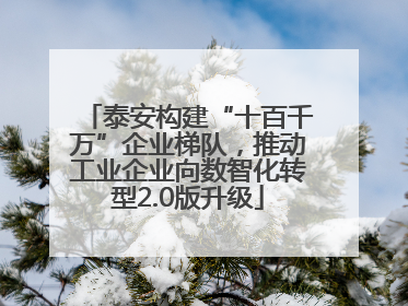 泰安构建“十百千万”企业梯队，推动工业企业向数智化转型2.0版升级