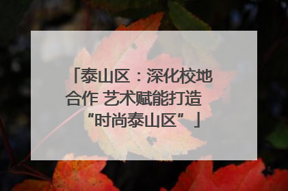 泰山区：深化校地合作 艺术赋能打造“时尚泰山区”