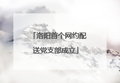洛阳首个网约配送党支部成立