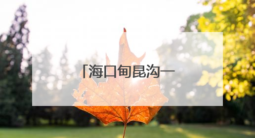 海口甸昆沟一处出现塌方