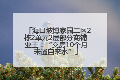 海口坡博家园二区2栋2单元2层部分商铺业主：“交房10个月未通自来水”