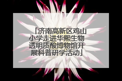 济南高新区鸡山小学走进华熙生物透明质酸博物馆开展科普研学活动
