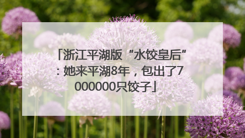 浙江平湖版“水饺皇后”：她来平湖8年，包出了7000000只饺子