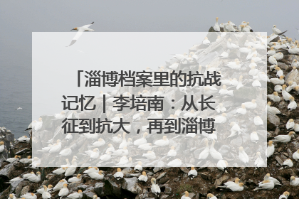 淄博档案里的抗战记忆｜李培南：从长征到抗大，再到淄博的革命足迹