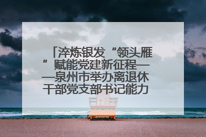 淬炼银发“领头雁”赋能党建新征程——泉州市举办离退休干部党支部书记能力建设专题培训