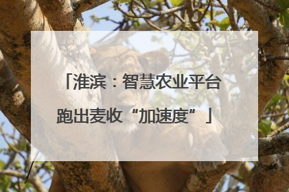 淮滨：智慧农业平台跑出麦收“加速度”