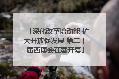 深化改革增动能 扩大开放促发展 第二十届西博会在蓉开幕