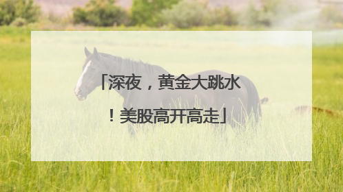 深夜，黄金大跳水！美股高开高走