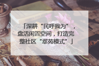 深耕“民呼我为”，盘活闲置空间，打造完整社区“翠苑模式”