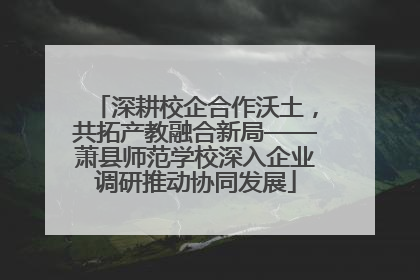 深耕校企合作沃土，共拓产教融合新局——萧县师范学校深入企业调研推动协同发展