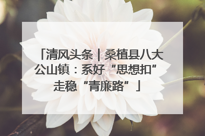 清风头条｜桑植县八大公山镇：系好“思想扣” 走稳“青廉路”