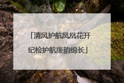 清风护航凤凰花开 纪检护航廉韵绵长