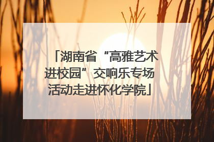 湖南省“高雅艺术进校园”交响乐专场活动走进怀化学院