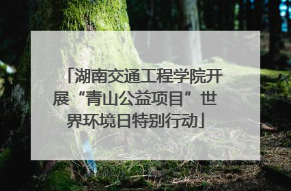 湖南交通工程学院开展“青山公益项目”世界环境日特别行动