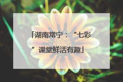 湖南常宁：“七彩”课堂鲜活有趣