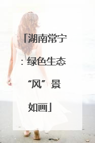 湖南常宁：绿色生态 “风”景如画