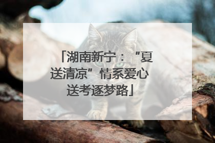 湖南新宁：“夏送清凉”情系爱心送考逐梦路