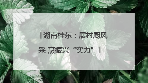 湖南桂东：展村厨风采 烹振兴“实力”