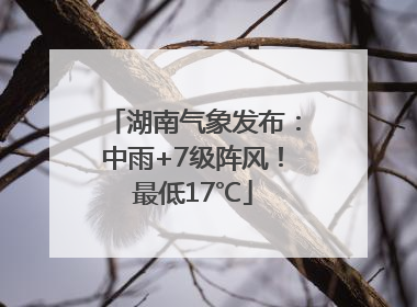 湖南气象发布：中雨+7级阵风！最低17℃
