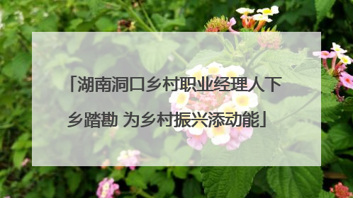 湖南洞口乡村职业经理人下乡踏勘 为乡村振兴添动能