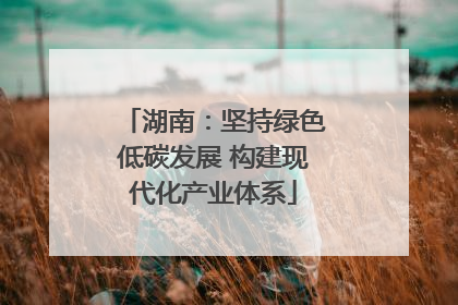湖南：坚持绿色低碳发展 构建现代化产业体系