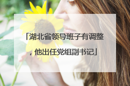 湖北省领导班子有调整，他出任党组副书记
