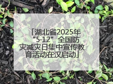 湖北省2025年“5·12”全国防灾减灾日集中宣传教育活动在汉启动
