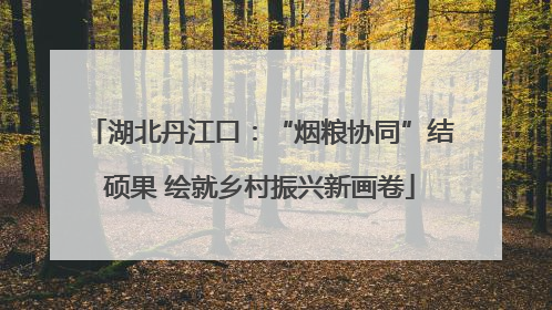 湖北丹江口：“烟粮协同”结硕果 绘就乡村振兴新画卷