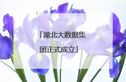 湖北大数据集团正式成立