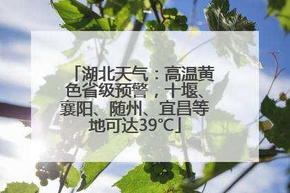 湖北天气：高温黄色省级预警，十堰、襄阳、随州、宜昌等地可达39℃