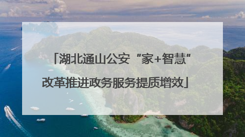湖北通山公安“家+智慧”改革推进政务服务提质增效