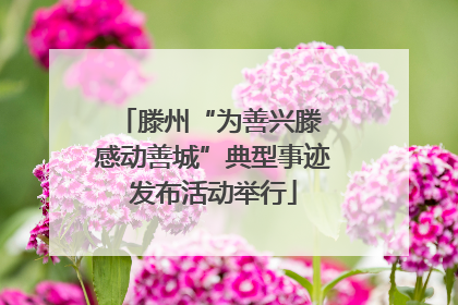 滕州“为善兴滕 感动善城”典型事迹发布活动举行
