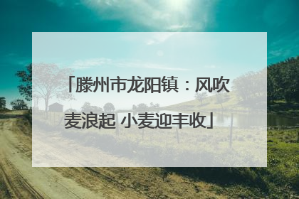 滕州市龙阳镇：风吹麦浪起 小麦迎丰收