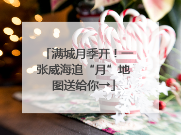 满城月季开！一张威海追“月”地图送给你→
