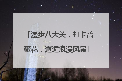 漫步八大关，打卡蔷薇花，邂逅浪漫风景