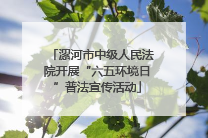 漯河市中级人民法院开展“六五环境日”普法宣传活动