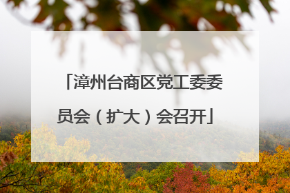 漳州台商区党工委委员会（扩大）会召开