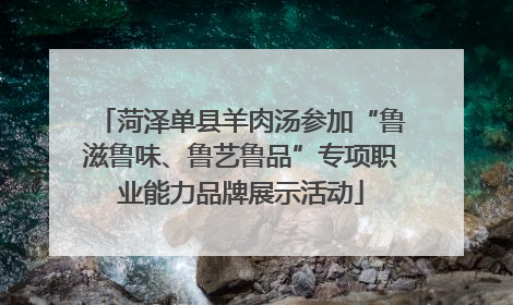 菏泽单县羊肉汤参加“鲁滋鲁味、鲁艺鲁品”专项职业能力品牌展示活动