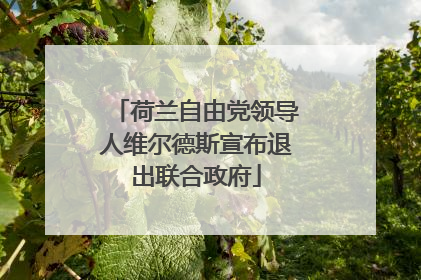 荷兰自由党领导人维尔德斯宣布退出联合政府