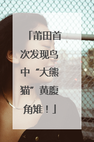 莆田首次发现鸟中“大熊猫”黄腹角雉！